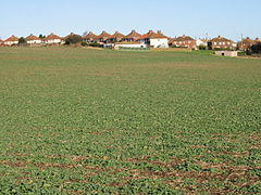 Houses on Adelaide Road, Elvington, from the Barfrestone Road - geograph.org.uk - 652160.jpg