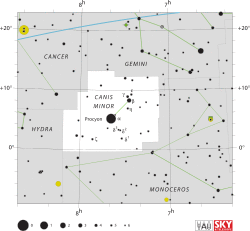 Canis Minor