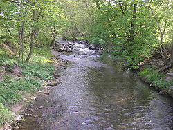 Ilm bei Langewiesen.JPG