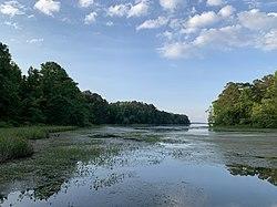 Lake Guntersville, Alabama.jpg