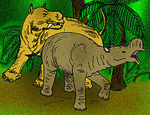 Gobiatherium major.jpg
