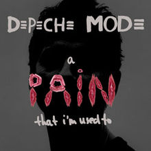 Pain lrg.jpg