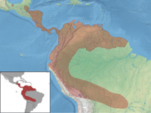Vampyrum spectrum distribution (colored).png