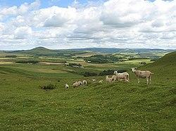 Rolling Lanarkshire countryside near Lanark Town