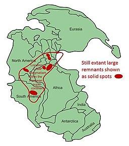 CAMP Magmatism in the context of Pangea.jpg