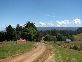 Aberfeldy Walhalla Road.jpg