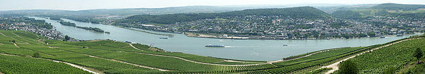 Rüdesheim am Rhein