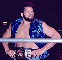Ernie Ladd.jpg