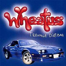 Teenage Dirtbag.jpg