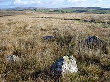 The Standing Stones of Glenterrow - geograph.org.uk - 586547.jpg