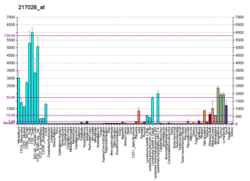 PBB GE CXCR4 217028 at fs.png