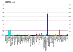 PBB GE DPP4 203716 s at fs.png