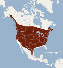 Distribution of Lasionycteris noctivagans.png