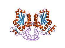 PDB 1esg EBI.jpg