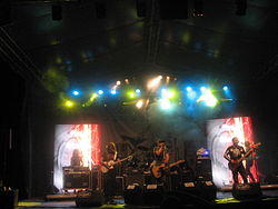 Plavi Orkestar performing in Stara Pazova in August 2011