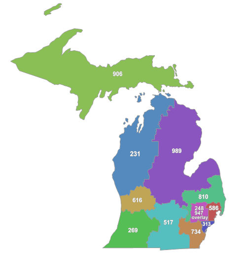 MI area codes.png