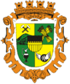 Coat of arms of Chodov