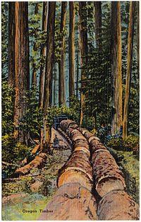 Oregon Timber (75492).jpg