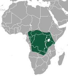 Small-footed Shrew area.png