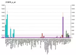 PBB GE LYZ 213975 s at fs.png