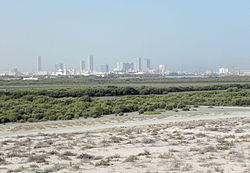 Mangroves near Umm Al Quwain