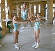 Figuraaerobic.jpg