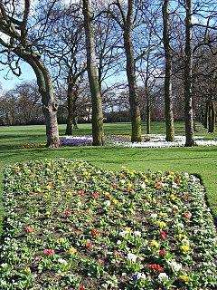 Manston Park - geograph.org.uk - 356438.jpg