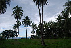 Pelaez Ancestral House, Crops.JPG
