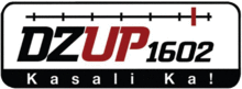 DZUP 1602.png