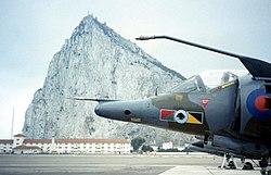 GIB 7.jpg