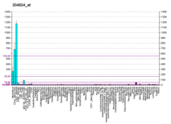 PBB GE TLR2 204924 at fs.png