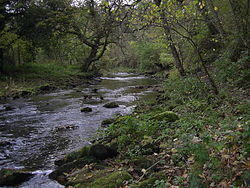 River Blyth Humford Woods - geograph.org.uk - 273694.jpg