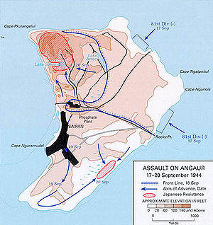 Battle of Anguar map.jpg