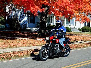 Honda CB700SC Night hawk red leaves.jpg