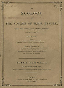 Darwin Zoology of the Voyage of HMS. Beagle Band1 Teil1 1838.jpg