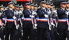 Défilé 14 juillet 2014 Paris Champs Elysées (14684020983).jpg