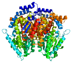 Protein GPI PDB 1dqr.png