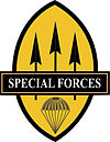 PA Special Forces Qualification Badge.jpg