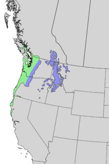 Abies grandis range map 3.png