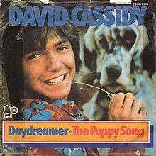 Daydreamer - David Cassidy.jpg