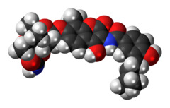 Space-filling model of the novobiocin molecule