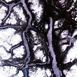 Tagish Lake.jpg