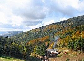 Widok z Zygmuntowki.jpg