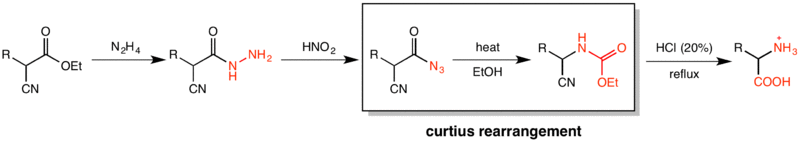 Scheme of the Darapsky amino acid synthesis