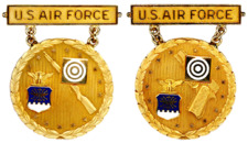 Former USAF Gold National EIC Badges.png