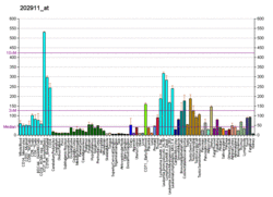 PBB GE MSH6 202911 at fs.png