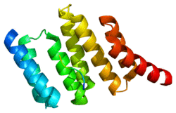Protein STIP1 PDB 1elr.png