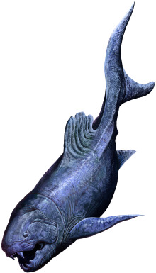 202010 Dunkleosteus telleri.svg