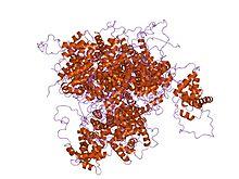 PDB 2bid EBI.jpg