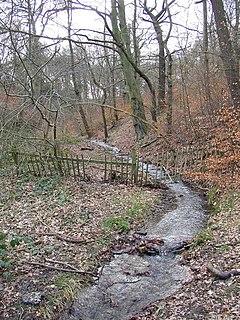 Allison Dike, Fixby - geograph.org.uk - 382230.jpg